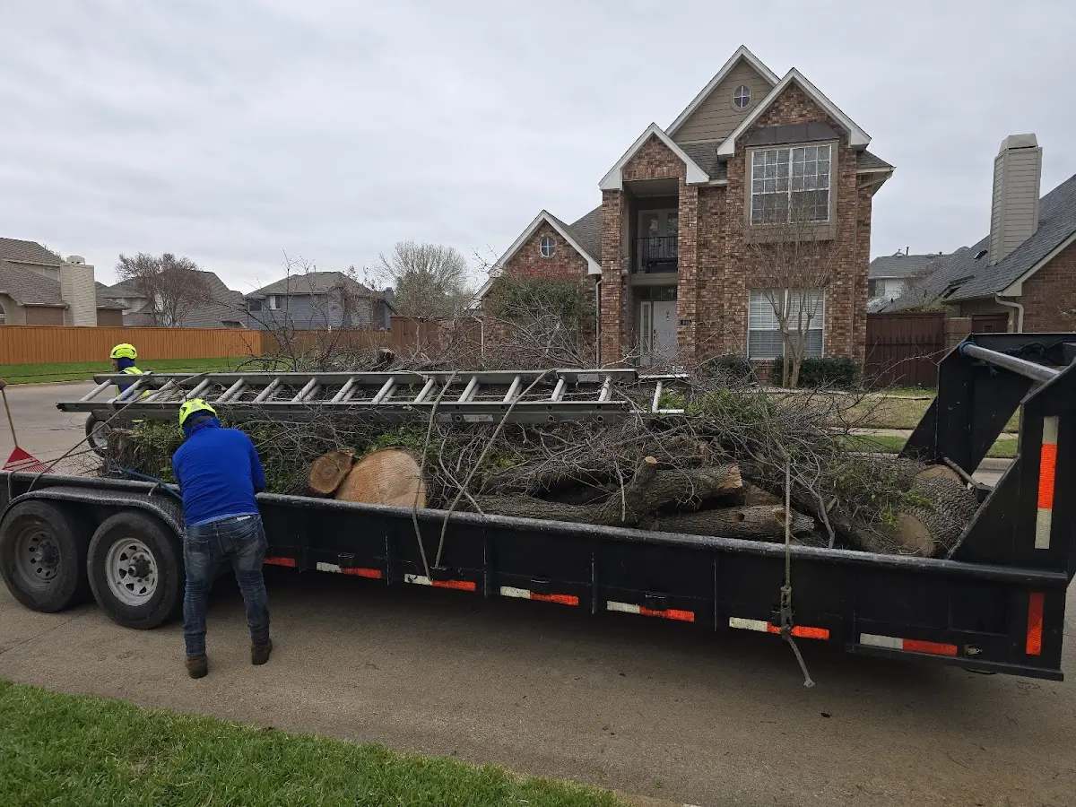 Expert Tree Fertilization with proper safety equipment in Fillmore